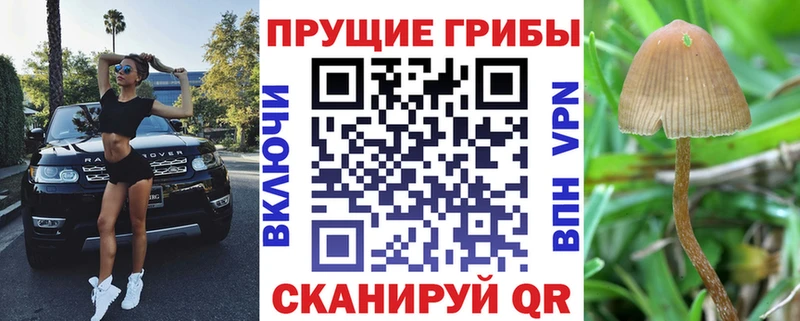 Галлюциногенные грибы Psilocybine cubensis  Бобров 